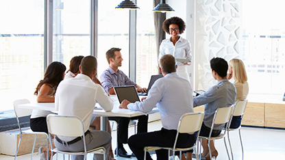 Group of professionals in meeting