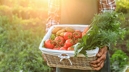 kurv med ferske grønnsaker